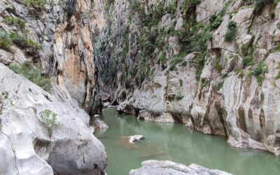 Cañón de las Buitreras Trail, Cortes de la Frontera, Málaga