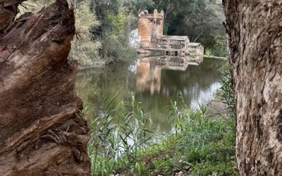 Bellezas De Alcalá de Guadaíra.
¿COMO NO TE VAMOS A QUERER?
 La belleza de nuest