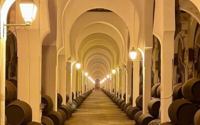 Bodegas Fundador, Jerez de la Frontera.
 destinosuroeste
#bodegasfundador
#andal