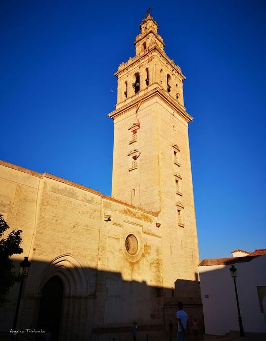 Discover the beauty of Lebrija, Seville