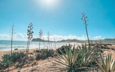 Playa de los Genoveses 
  Cabogateando 
 #costadealmería #mediterraneamente #par