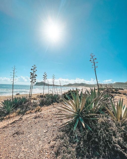 Playa de los Genoveses 
  Cabogateando 
 #costadealmería #mediterraneamente #par