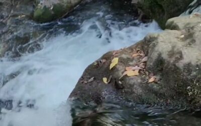 Que maravilla 
El lugar mas emblemático de la sierra de Cádiz sin duda es este d