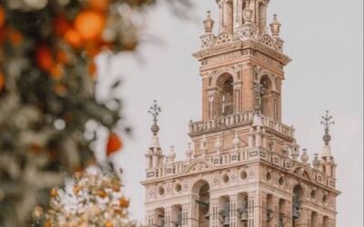 Subir a la Giralda

¡No puedes venir a Sevilla y no subir en ella!

 
Esta torre