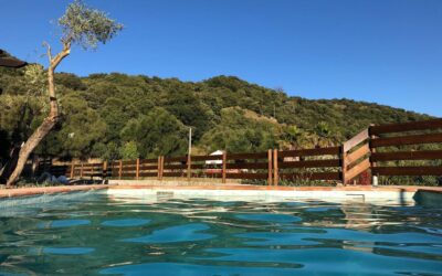 House The Terrace. Holiday rental in Cortes de la Frontera Station. Benalauría. Ronda Mountains. Malaga