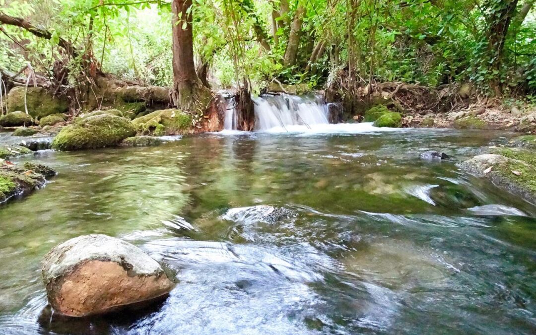 A Place Full Of Nature- Majaceite River Benamahoma Cádiz