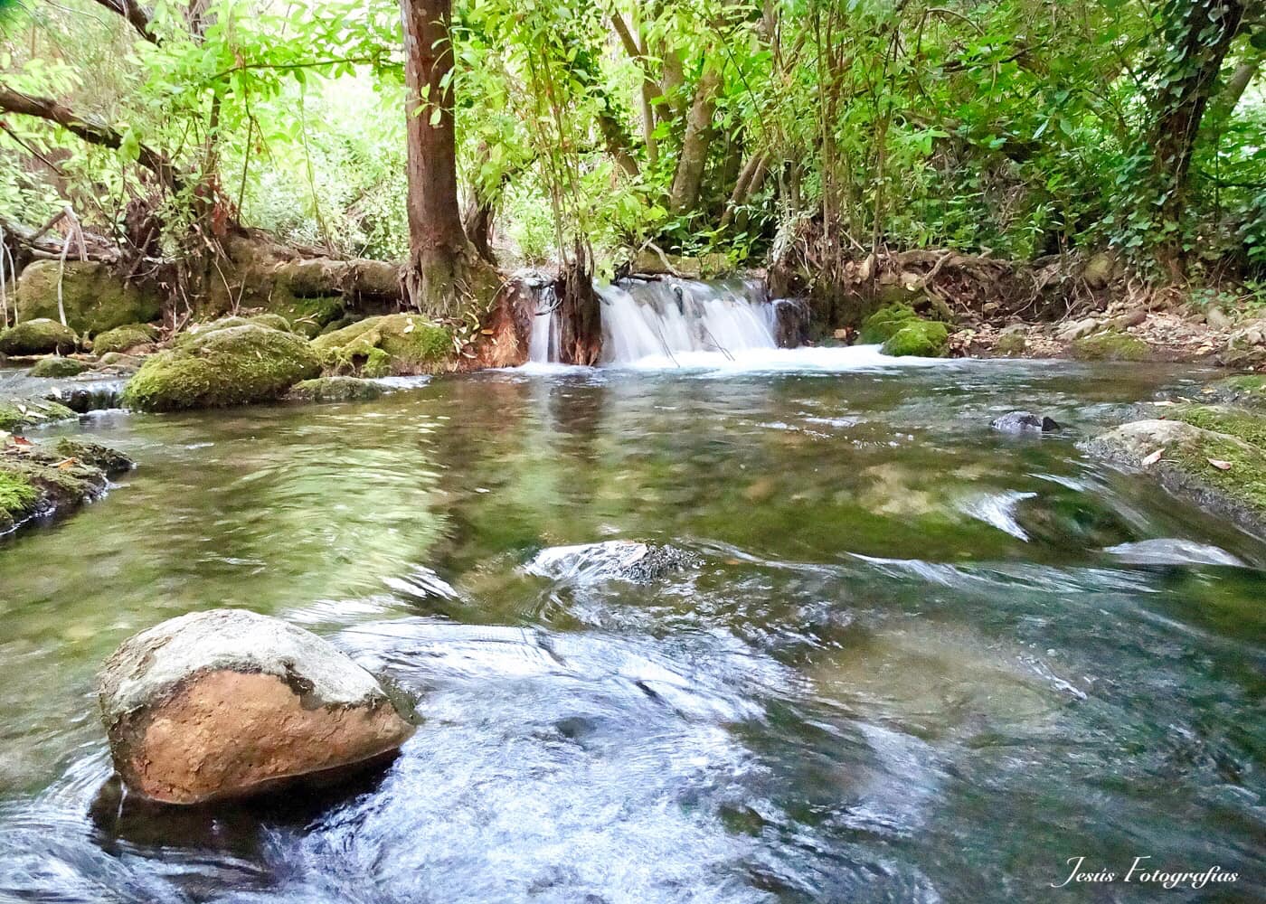 A Place Full Of Nature- Majaceite River Benamahoma Cádiz