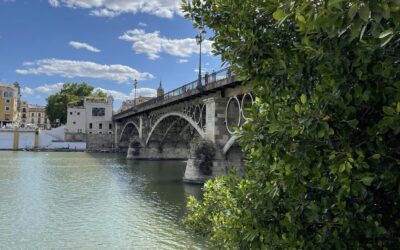 In love with this beauty of a city: Seville