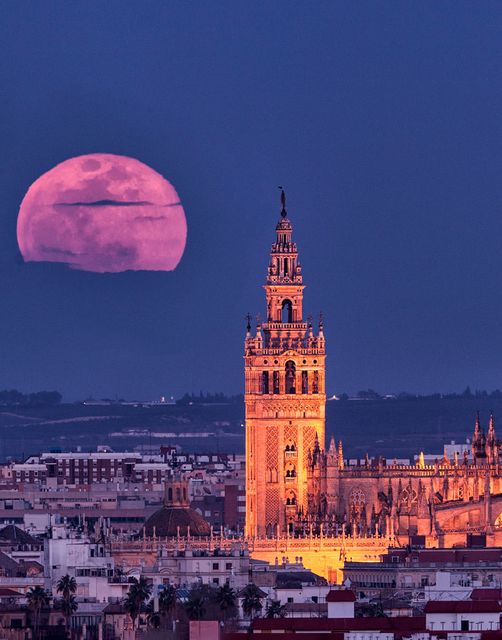 The Giralda in Seville #andaluciaturismo_ #andalucia #sevilla #turismo #spain #