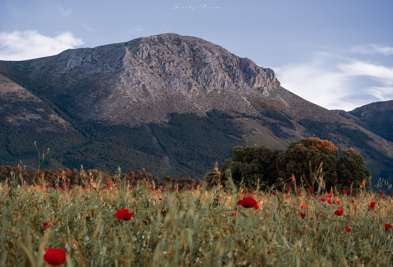 Sierra Arana is a mountain range located