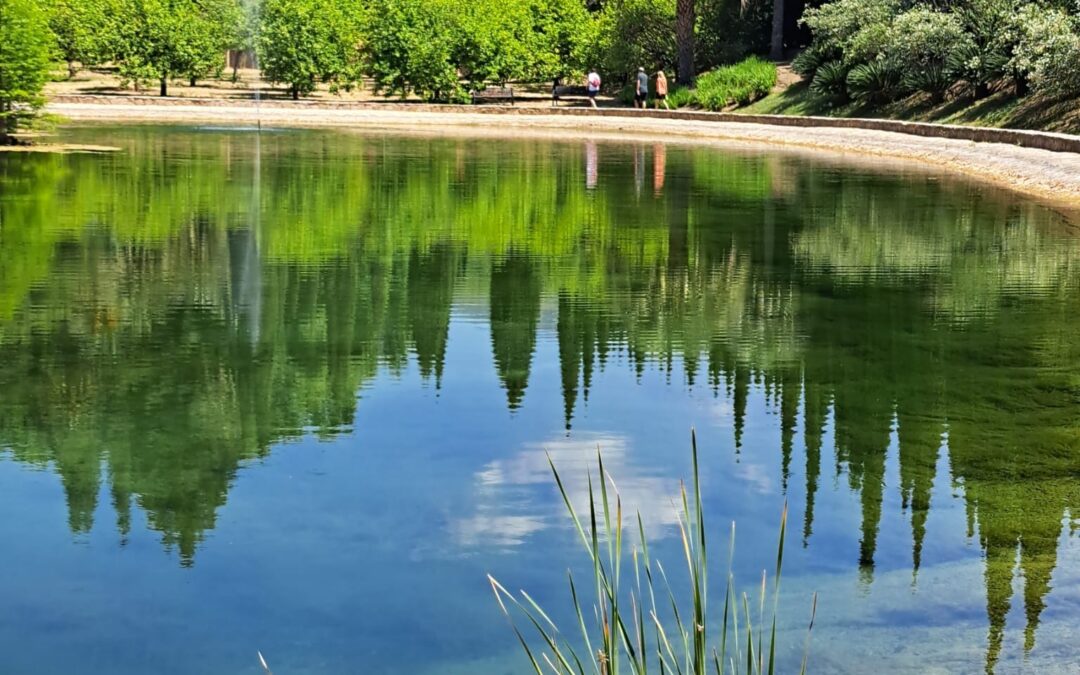 Malaga Botanical Garden