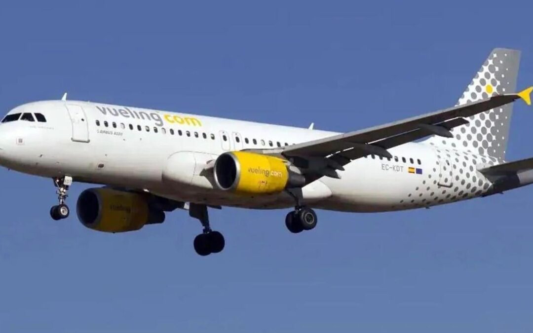 Vueling will fly 15 routes to and from Malaga Airport this summer | Sur in English